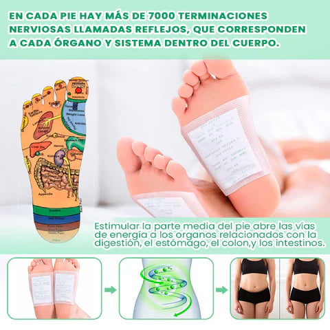 Parches Kinokis Desintoxicante - 100  Unidades !