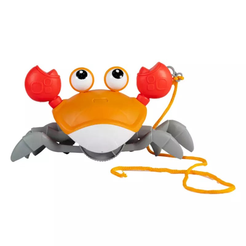 Cangrejo Caminador Bebe Con Cuerda